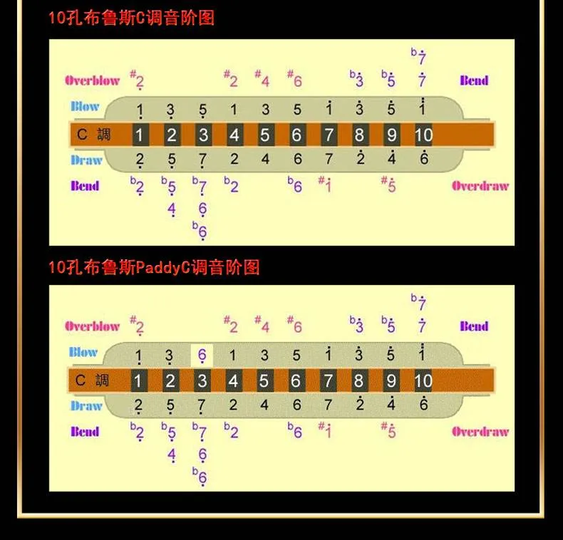 蓝调口琴第一把位音阶图